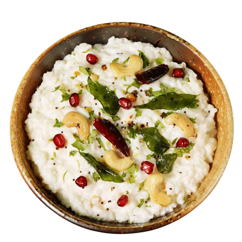 Curd Rice - Idly Dosa Express
